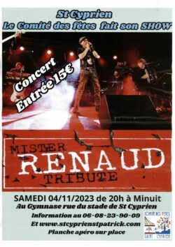 concert Mister RENAUD tribute - 04-11-2023