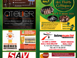 FETE CELTIQUE 2