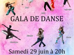 affiche gala 2024