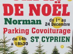 vente sapins déc. 2023