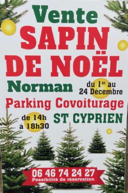 vente sapins déc. 2023