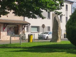 CME poubelles (6)