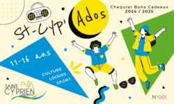 Chequier ado