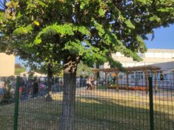 rentrée des classes (4)