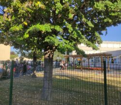 rentrée des classes (4)