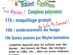 affiche carnaval 2025 comité fêtes