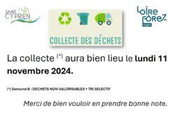 collecte déchets 11 novembre 2024