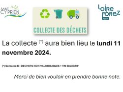collecte déchets 11 novembre 2024