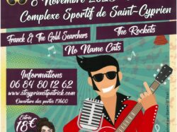 Festival Rockabilly 2025 (2)