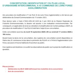 ARTICLE pour Site internet commune - Modif n°1 concertation