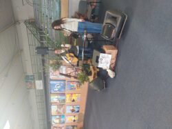 Musiciens