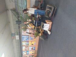 Musiciens
