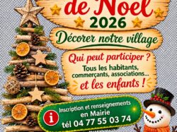 décorations noël 2026